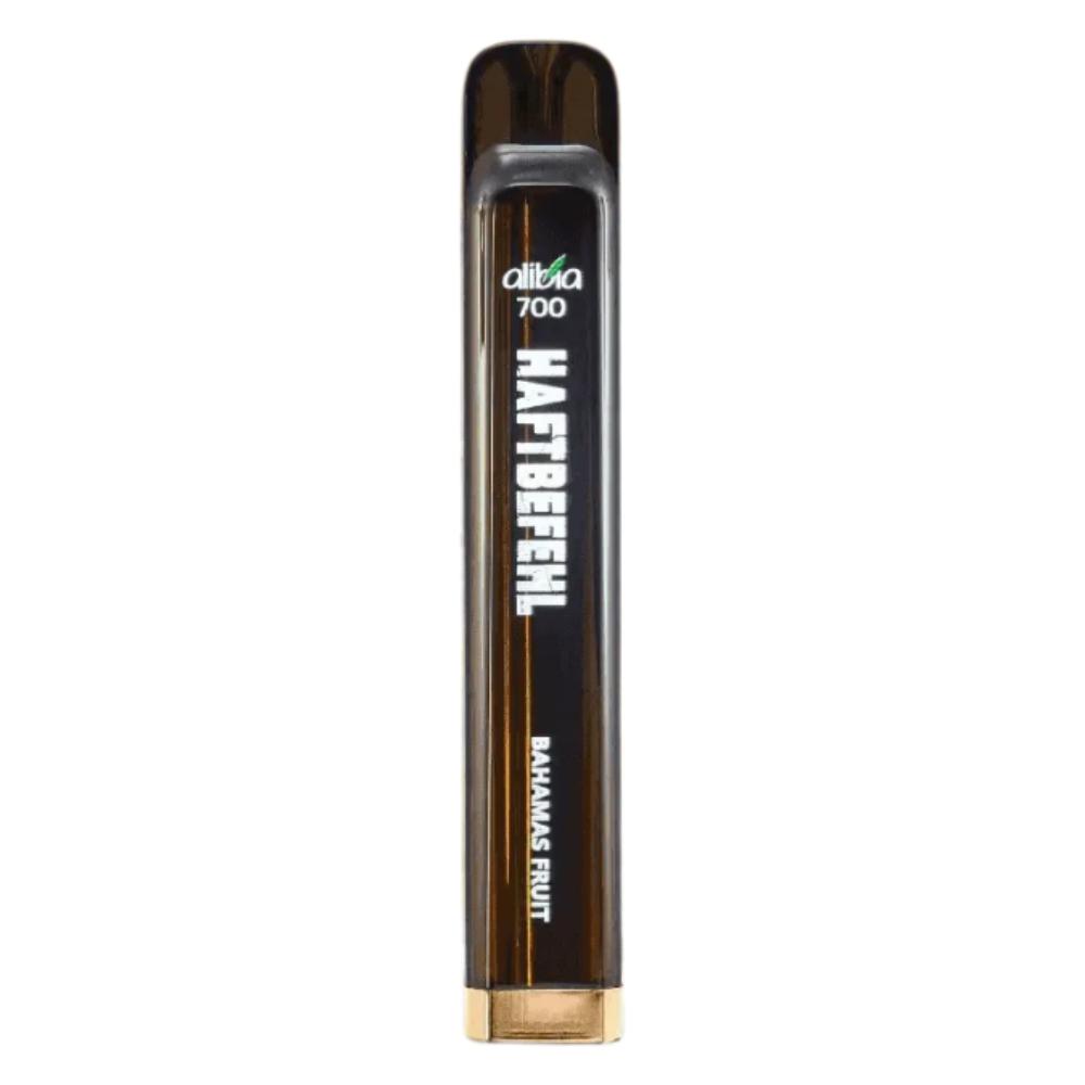 elfbar elfa master akku HAFTBEFEHL V2 Vapes - E-Zigaretten - Aibia