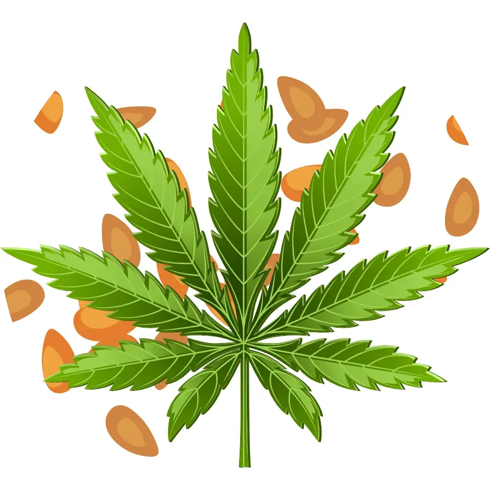 Cannabis-Samen Smokey-Dealz