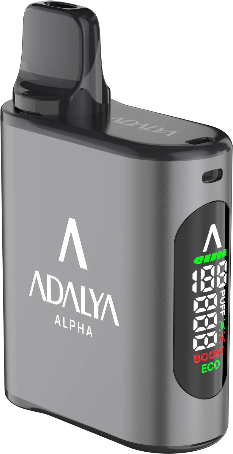 Adalya - Alpha - Space Grey - Basisgerät Adalya