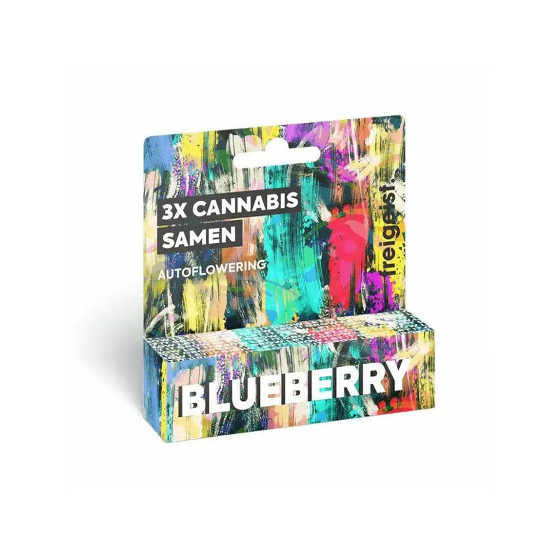 Freigeist - Blueberry Autoflowering - Cannabis Samen (3 Stk.) - Smokey-Dealz