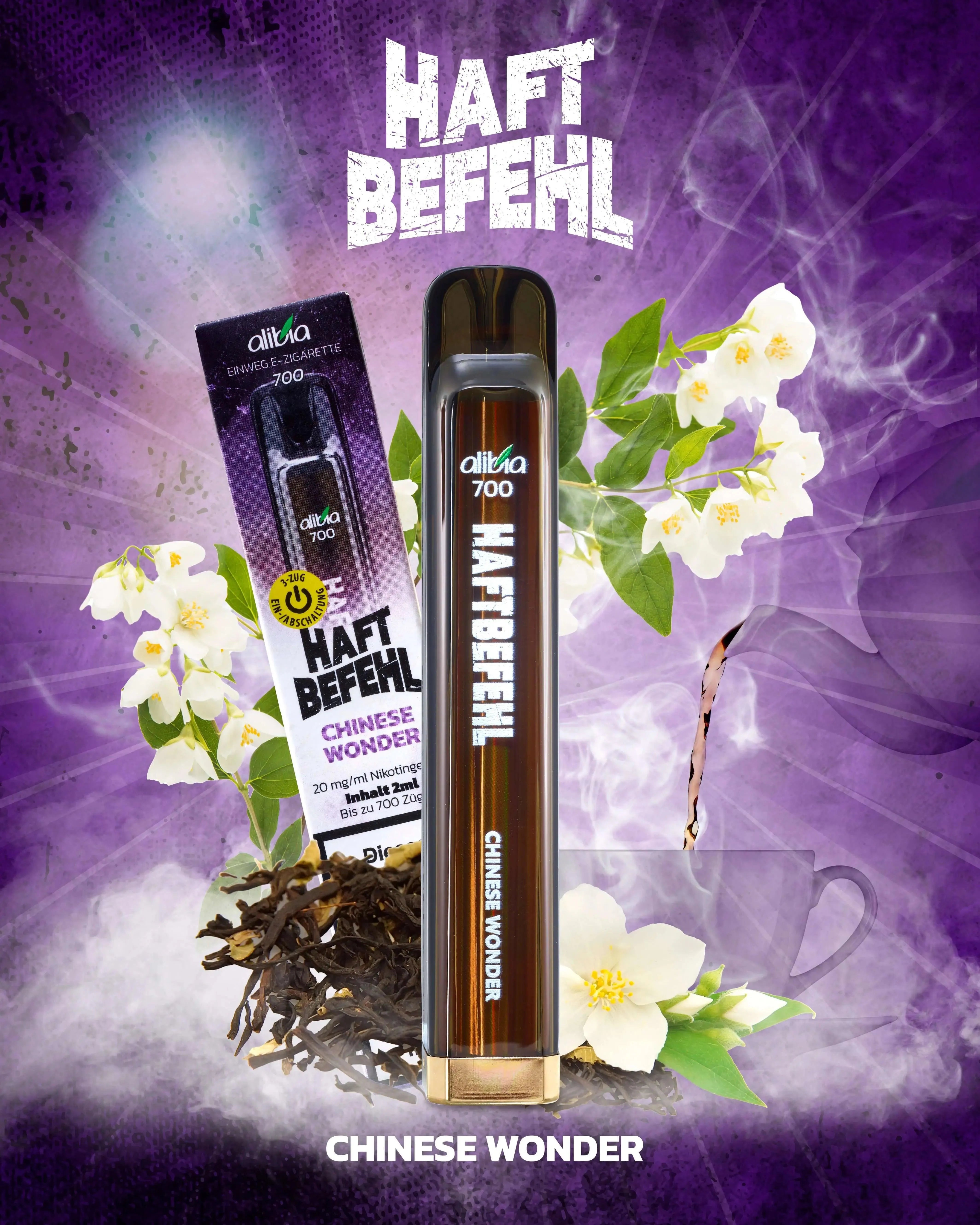 HAFTBEFEHL V2 Vapes - E-Zigaretten - Aibia